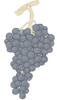 Les Essences – Sauvignon Blanc - Chateau De Sours