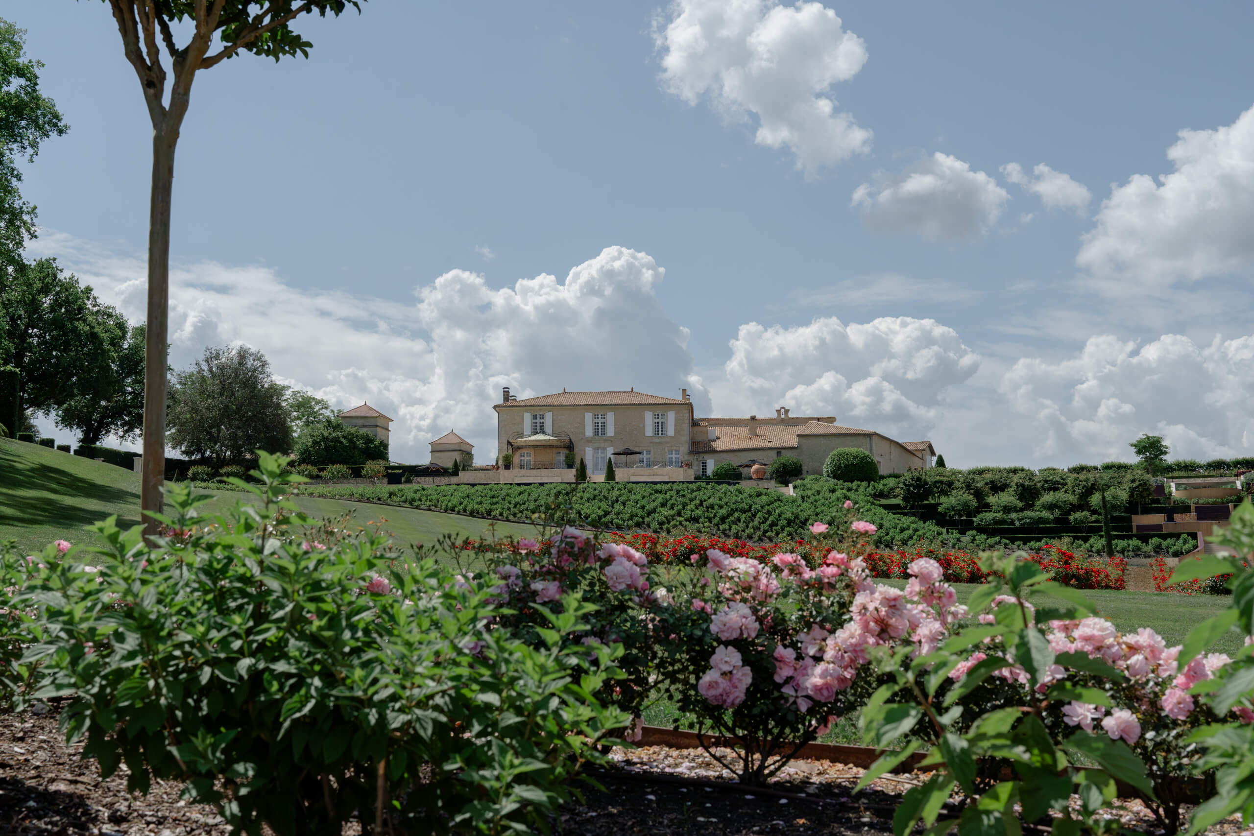 Accueil - Chateau De Sours